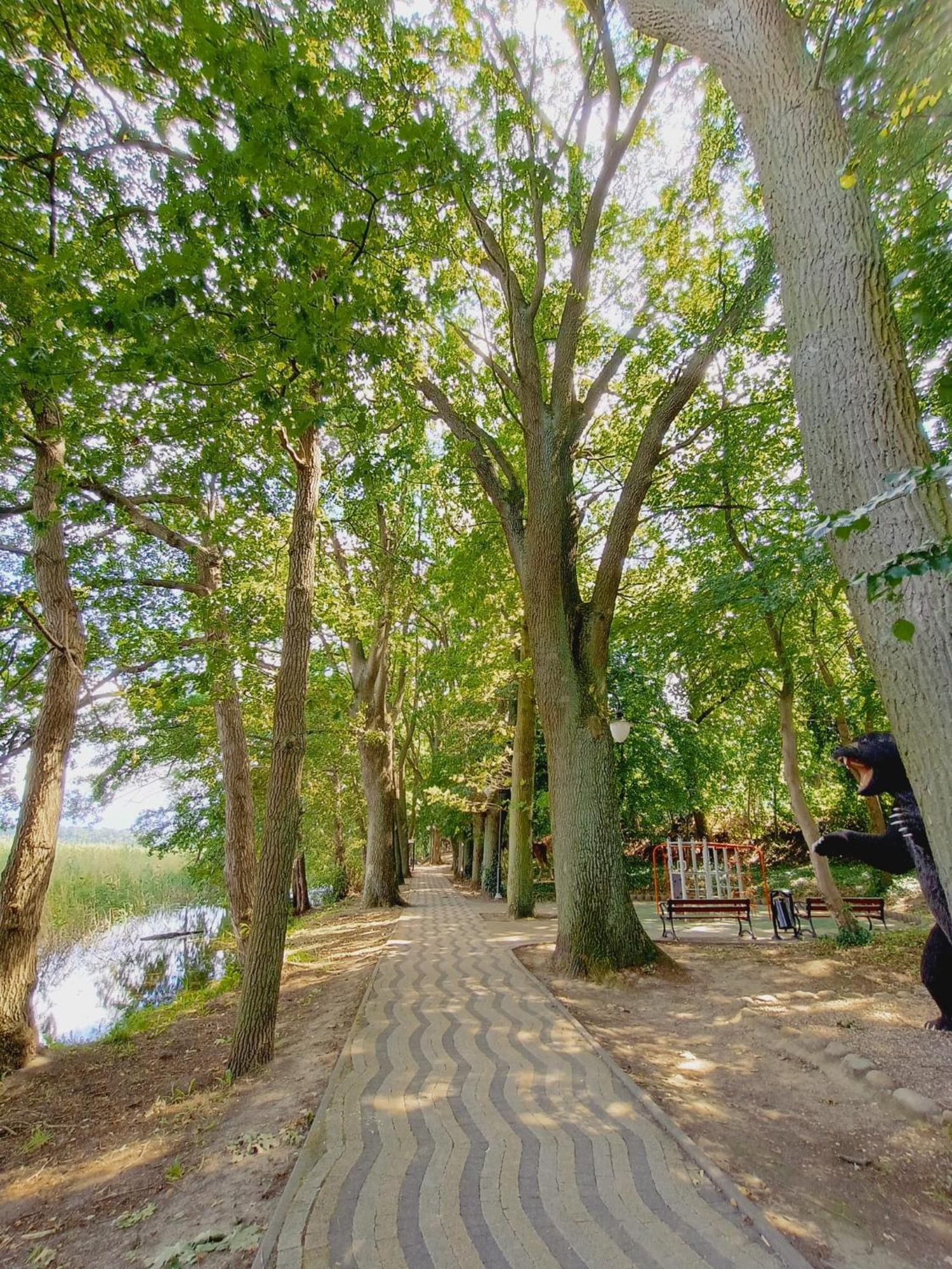 Domki Obok Plazy Moryn Exterior foto
