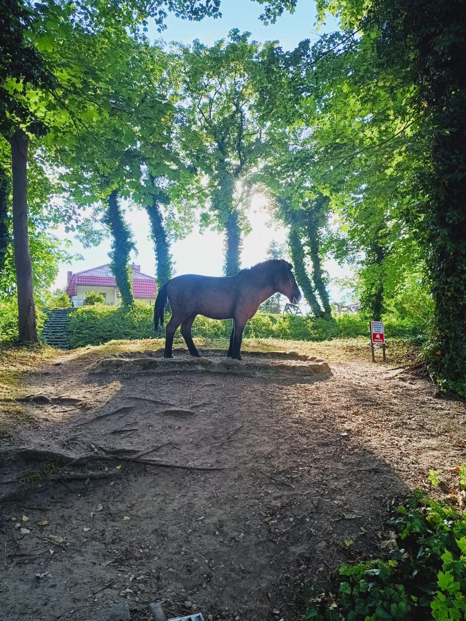 Domki Obok Plazy Moryn Exterior foto
