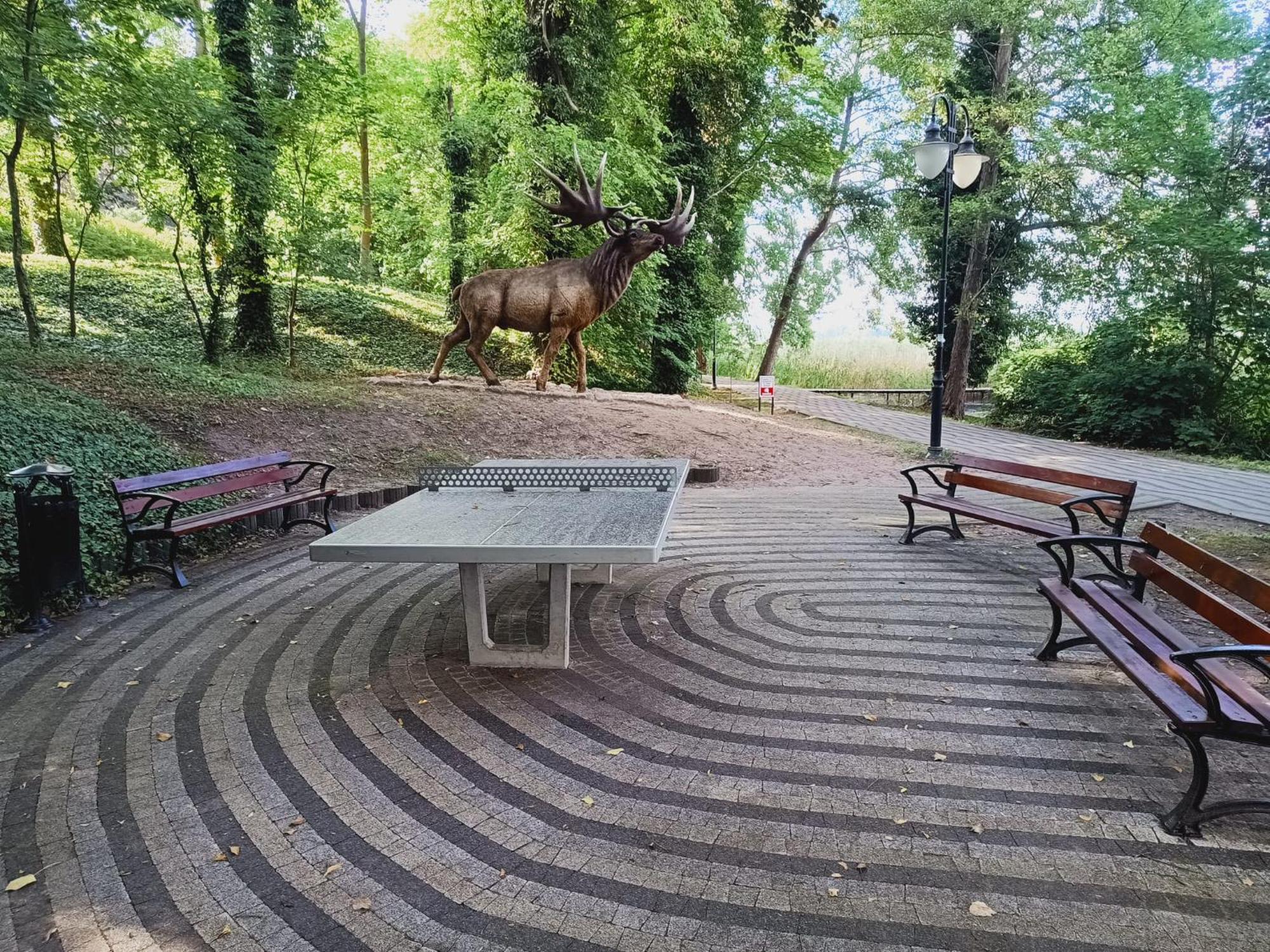 Domki Obok Plazy Moryn Exterior foto